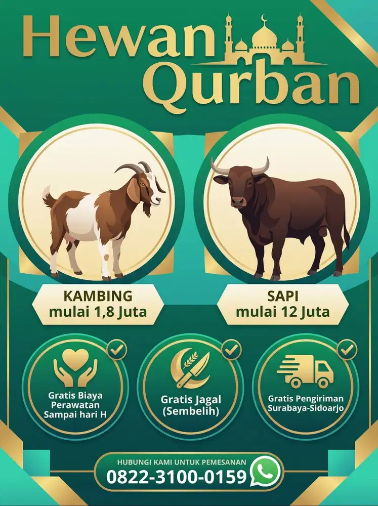 Jual Sapi Qurban Terpercaya Surabaya - Gratis Antar & Rawat