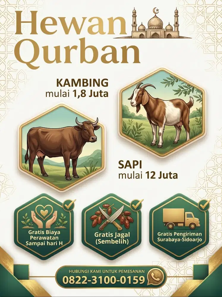 Sapi Qurban Murah Sidoarjo Surabaya - Terima Beres Sampai Hari H