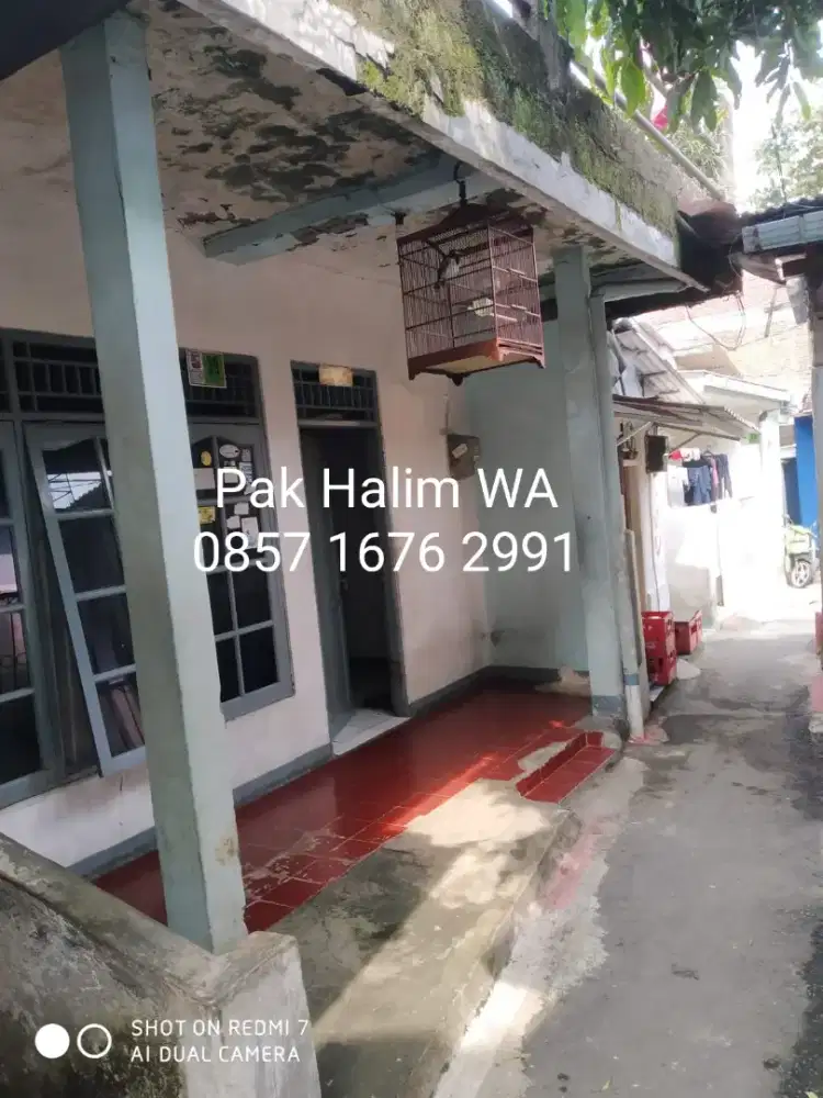 Rumah kosan 7 pintu super Murah selangkah ke istana bogor