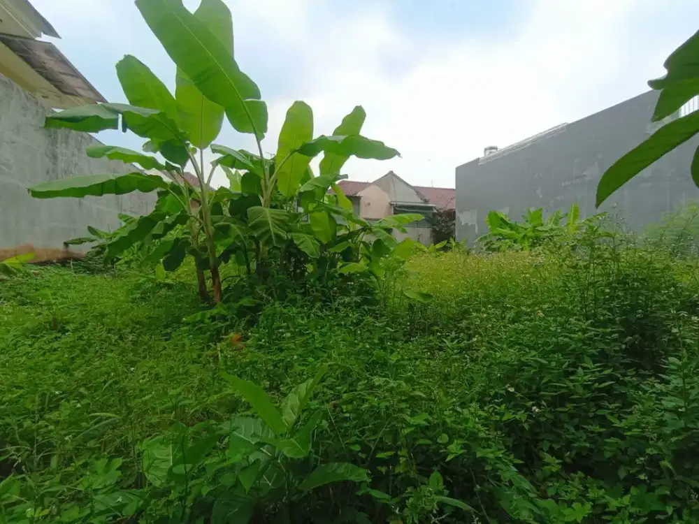 Dijual Kavling di Perumahan Puri Sriwedari Cibubur