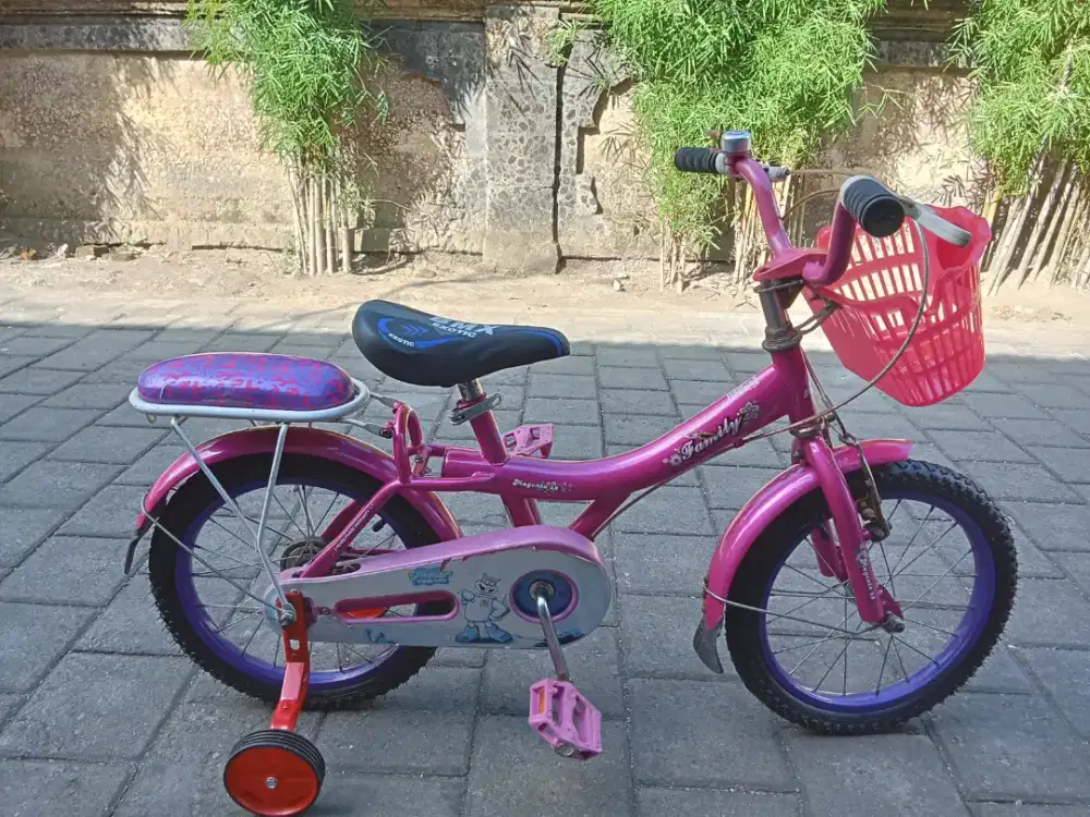 Sepeda anak FAMILY MAGENTA 2.0  R16