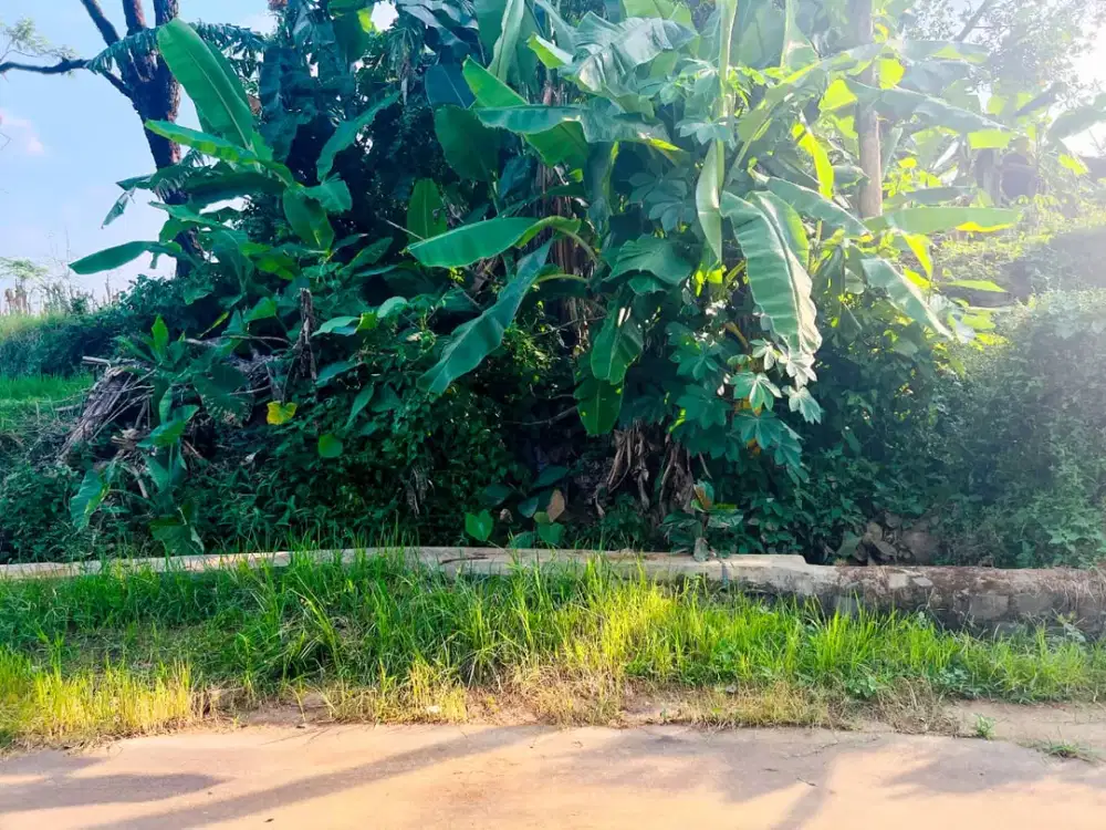 Tanah 150 Juta Cocok Bangun Rumah Karanganyar