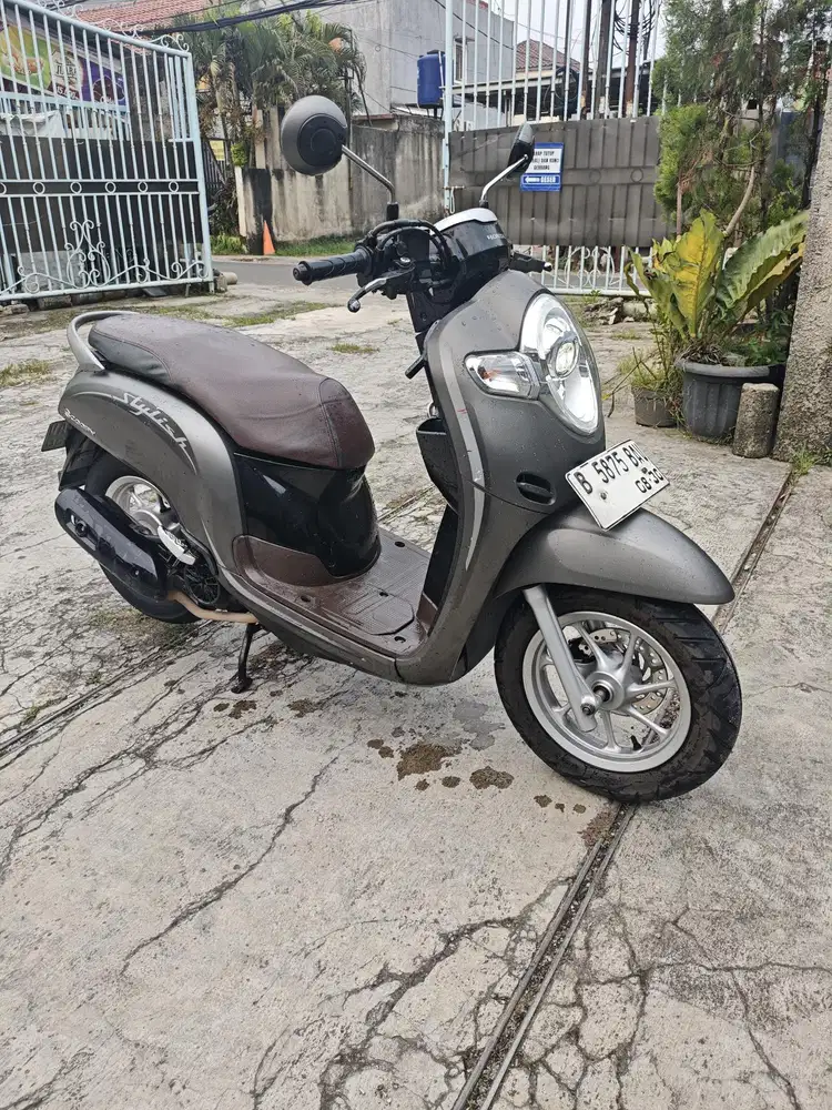 Honda scoopy 2020 stylis