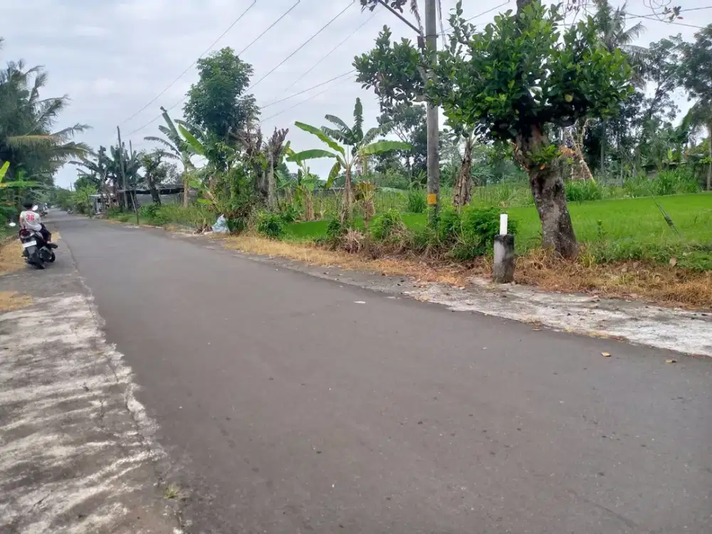 SAWAH MURAH AREA KEBONALAS, MANISRENGGO