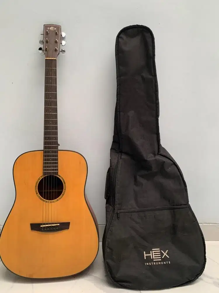 GITAR HEX HIVE D100 M