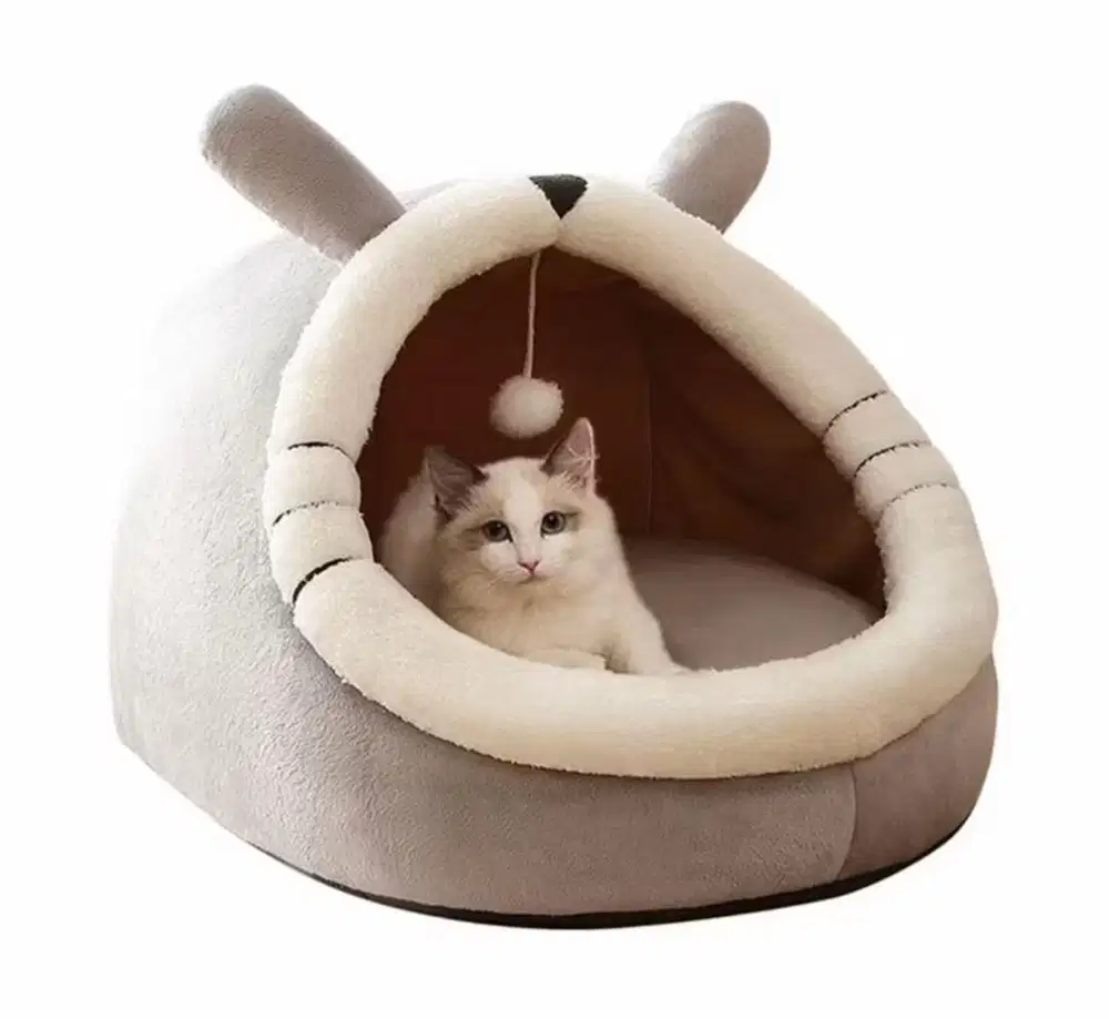 Tempat tidur Kucing