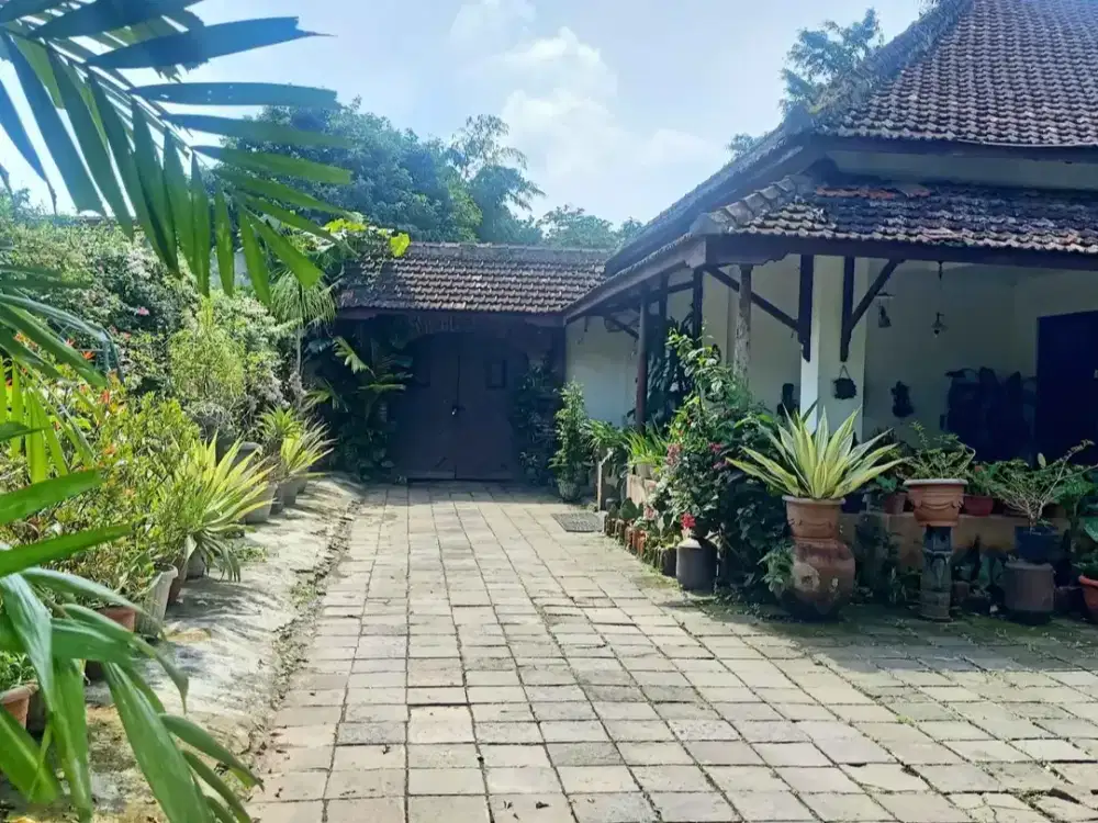 Rumah Asri di Jl Cempaka, Genuk Barat, Ungaran Barat View Gunung