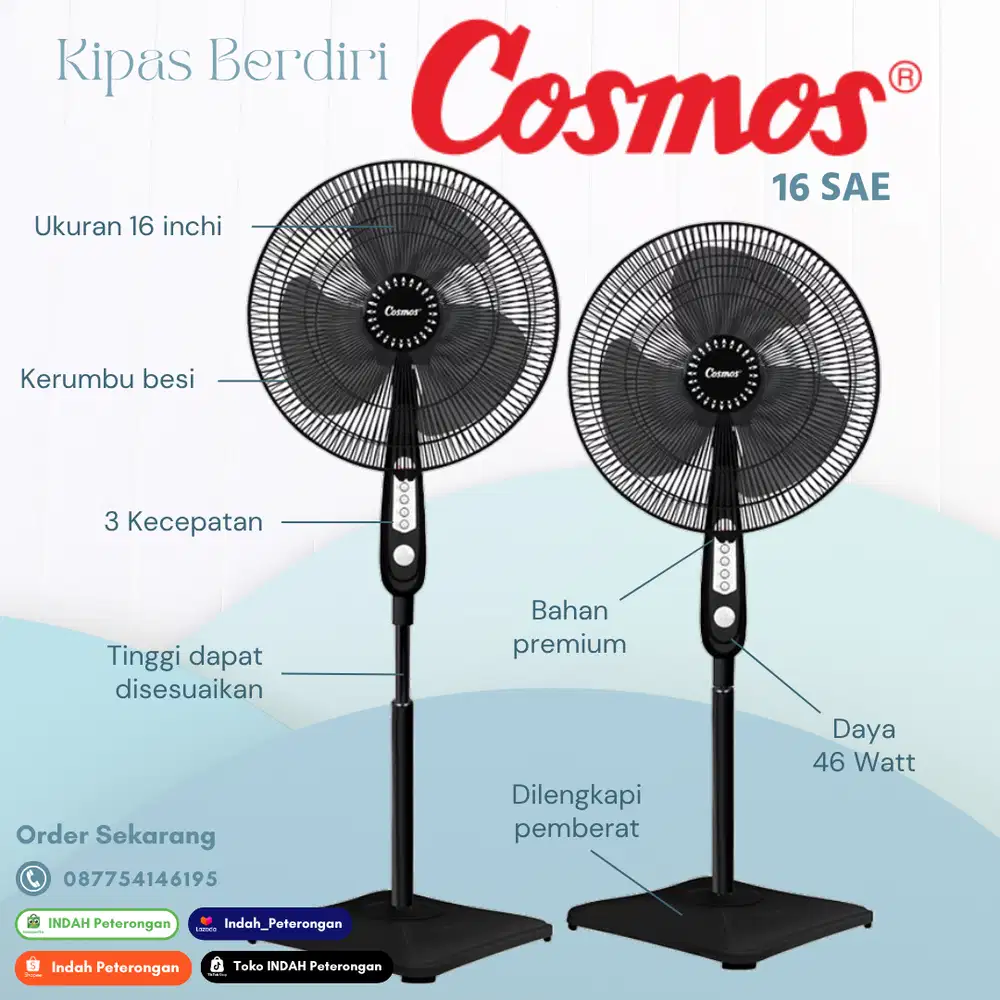 Kiapas Berdiri Cosmos 16-SAE