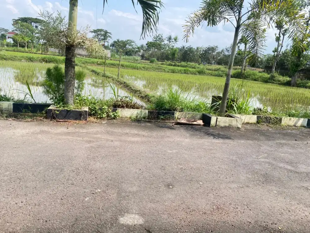 Tanah Kalasan 10 Menit Stadion Maguwoharjo