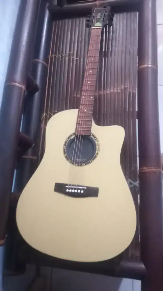 Gitar grazia JMC 05 N