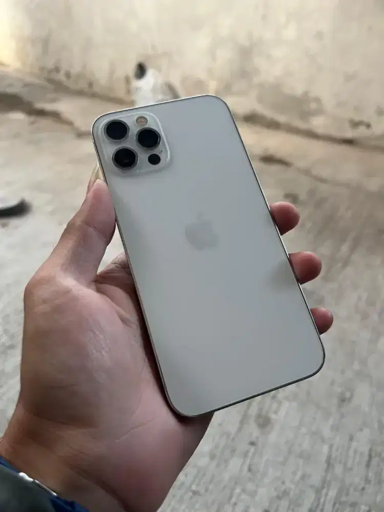 iPhone 12 256Gb ibox