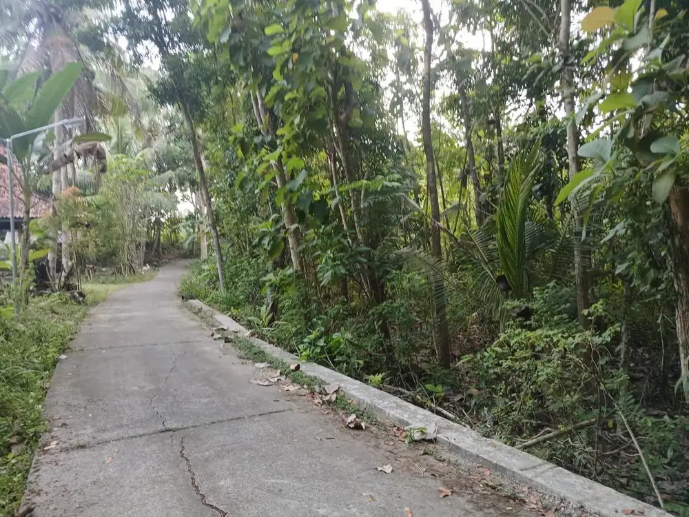Dijual  tanah di Bangujiwo Bantul