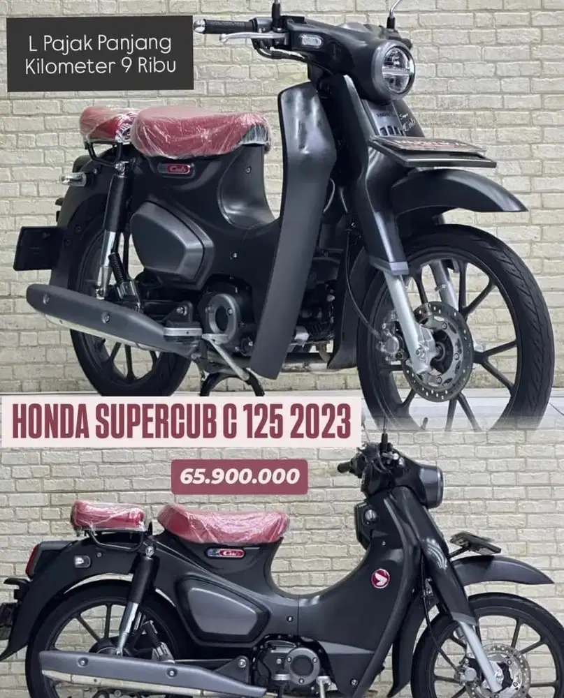 Km 9rb Like new‼️ Honda Super Cub C125 Tahun 2023 - Zaky Mustika