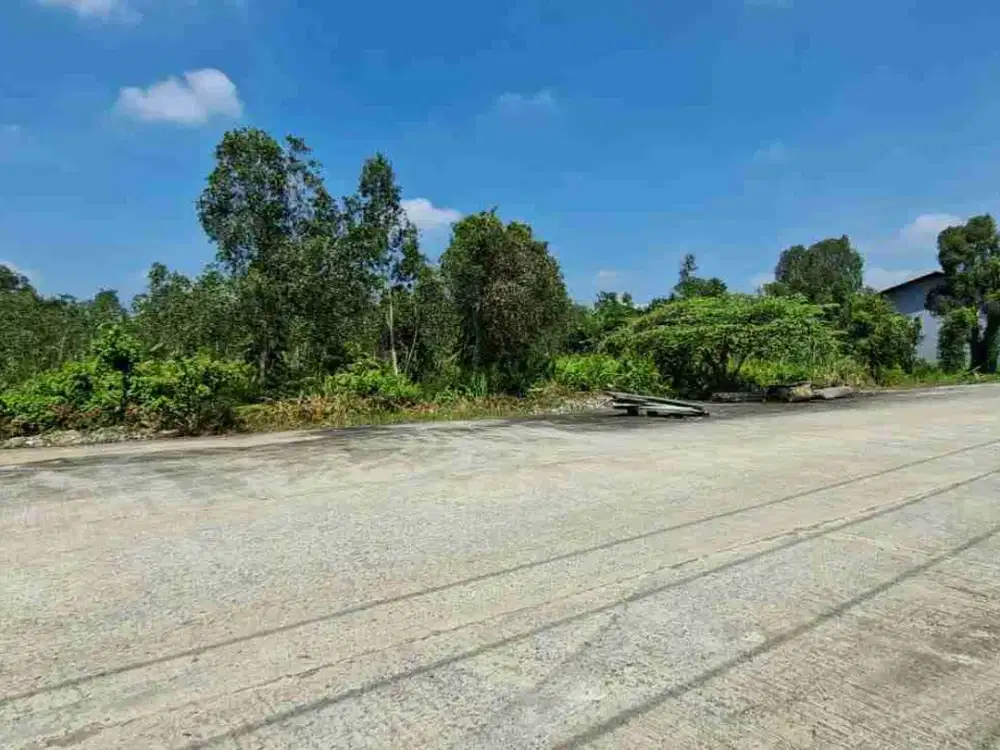 Dijual tanah 2 Hektar (20.000 m²) didalam komplek pergudangan di jl Tanjung Api Api Sukajadi Banyuasin