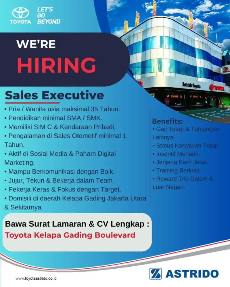 TOYOTA SALES EXECUTIVE
