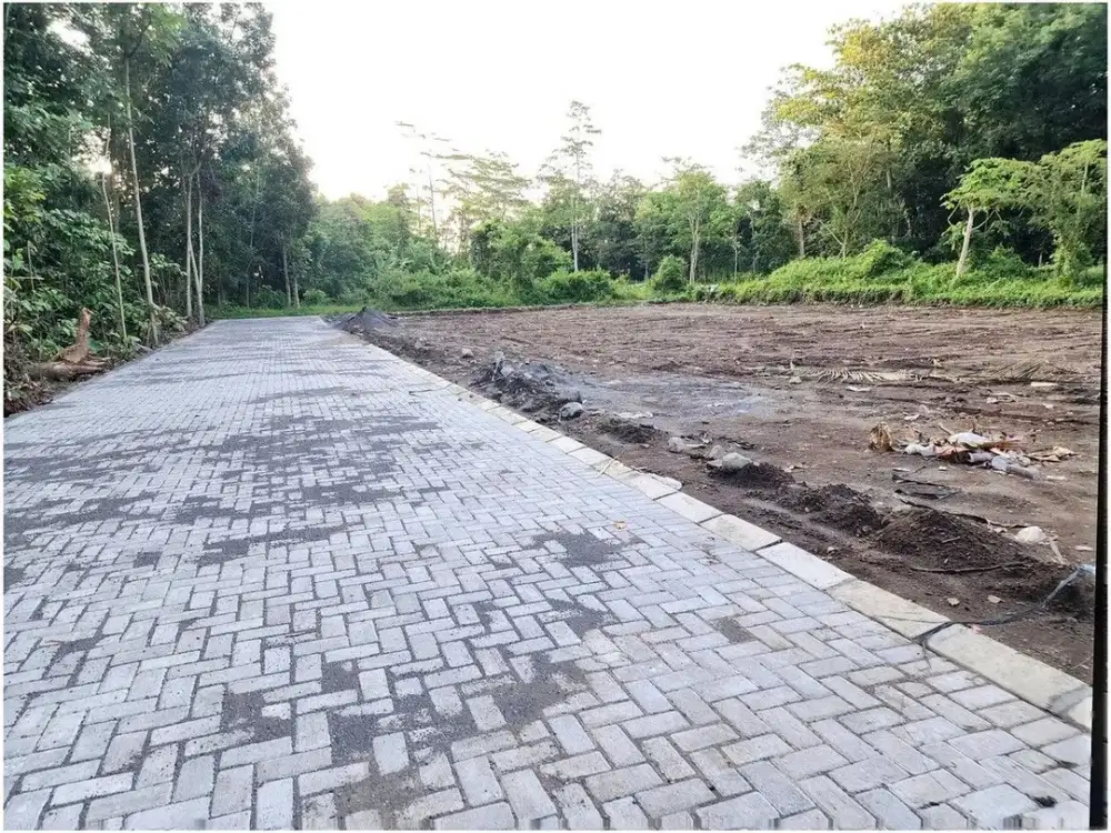 Tanah Yogyakarta Jl. Pandanaran Dekat Al-Azhar Cairo