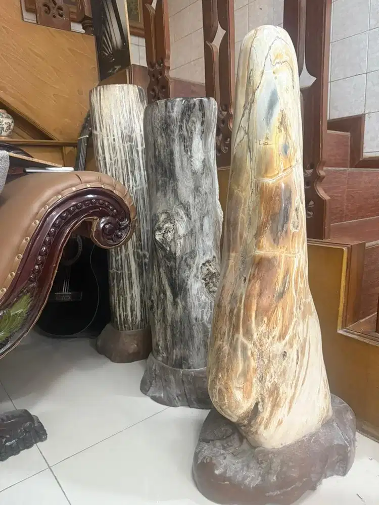 Jual Batu Fosil Langka