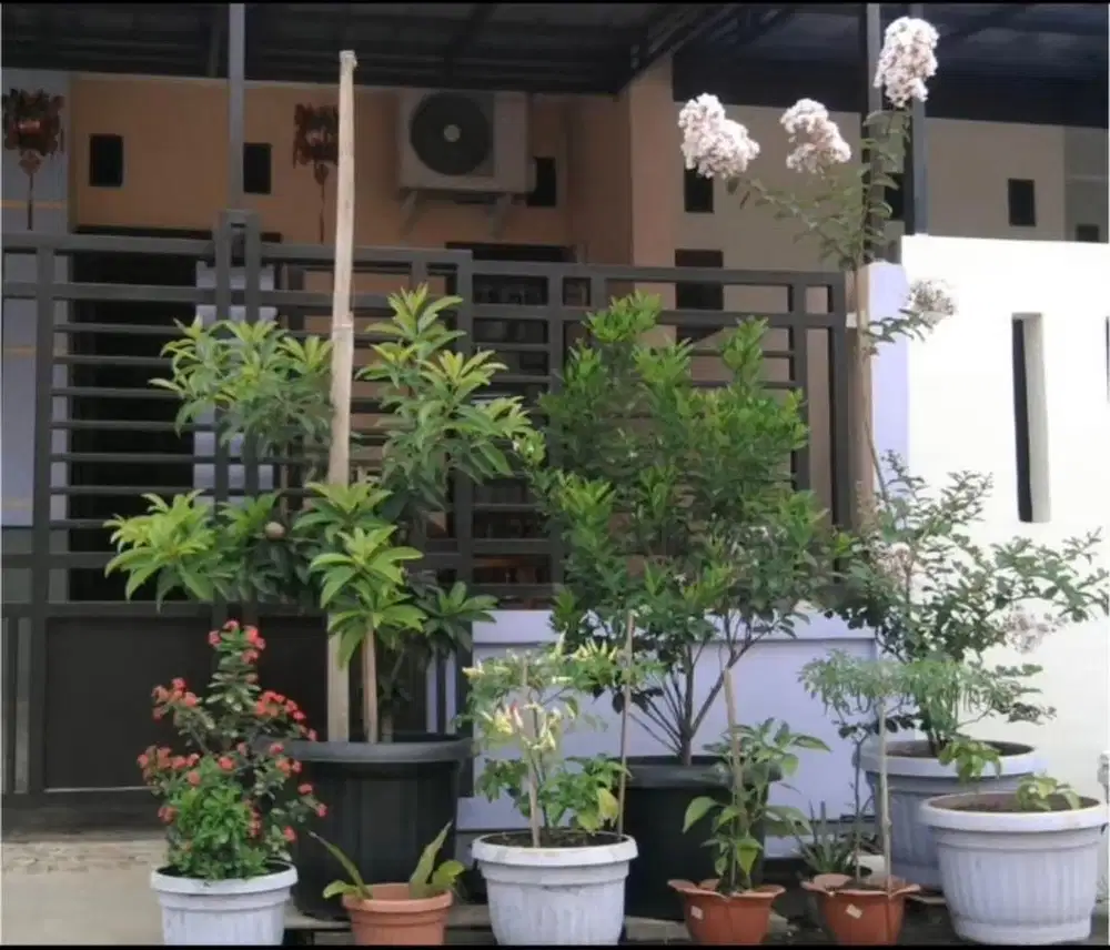Disewakan Rumah Cluster Kenanga