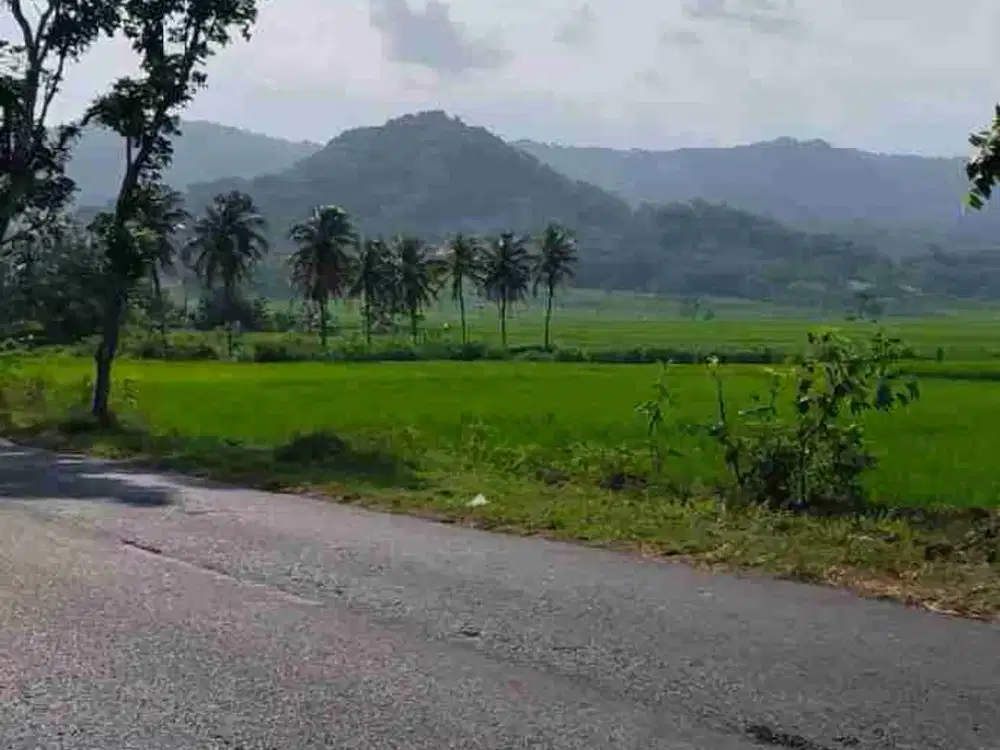 Tanah Dijual View Perbukitan menoreh+ Hamparan Sawah di Nanggulan