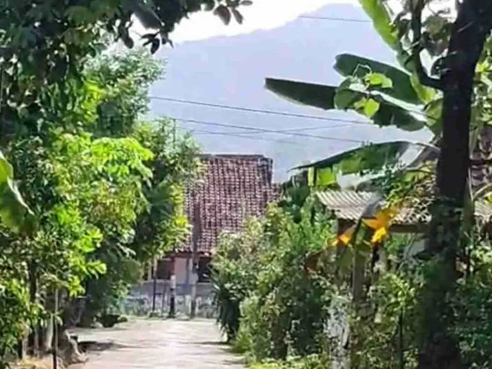 Tanah Dijual di Pronosutan Kembang Nanggulan