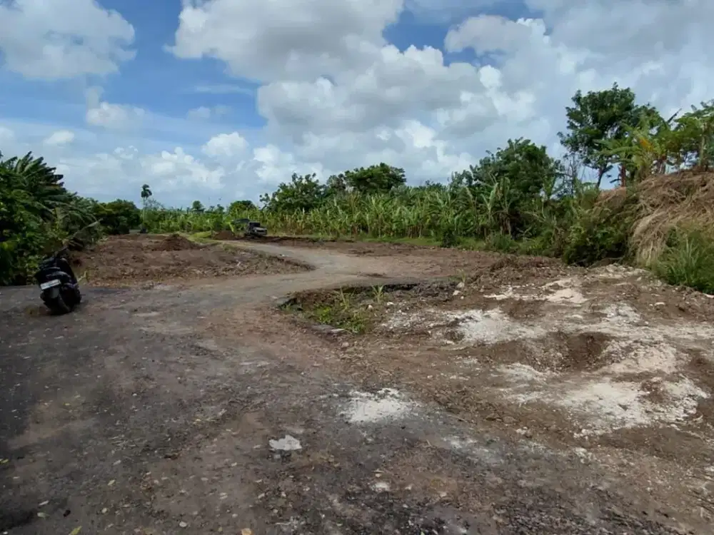 Dijual Tanah Kavling Sebesar 1 Are Di Area Yang Masih Asri Jalan Trengguli