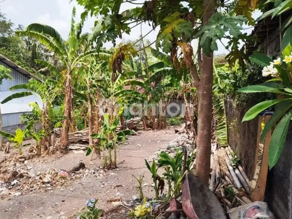 Dijual Tanah Lokasi Premium Sebelah Bird Park Batu Bulan
