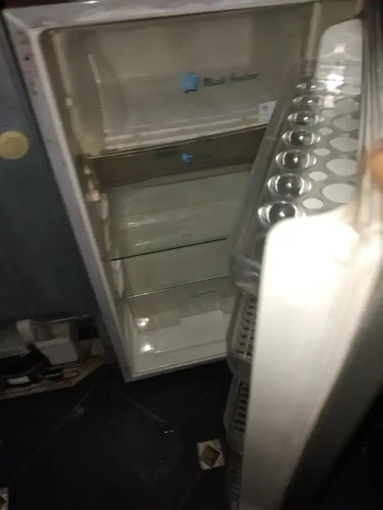 Kulkas glacio satu pintu