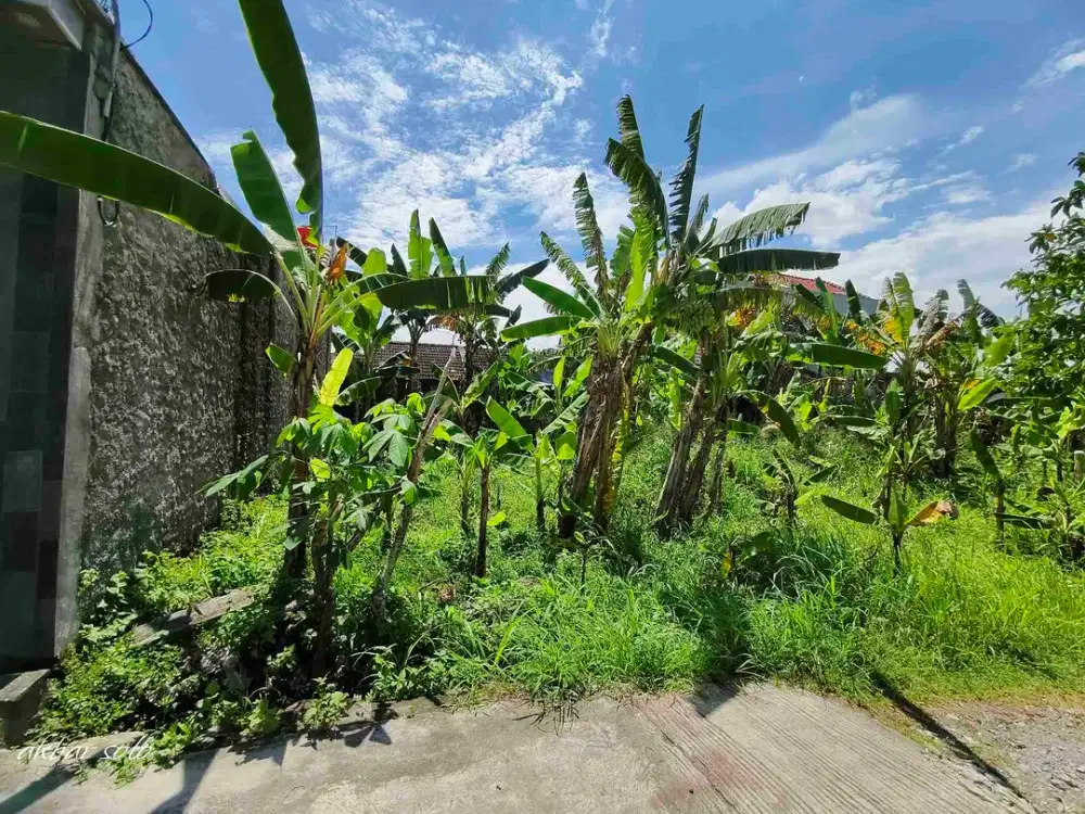 tanah tohudan colomadu dekat kampus akfis solo
