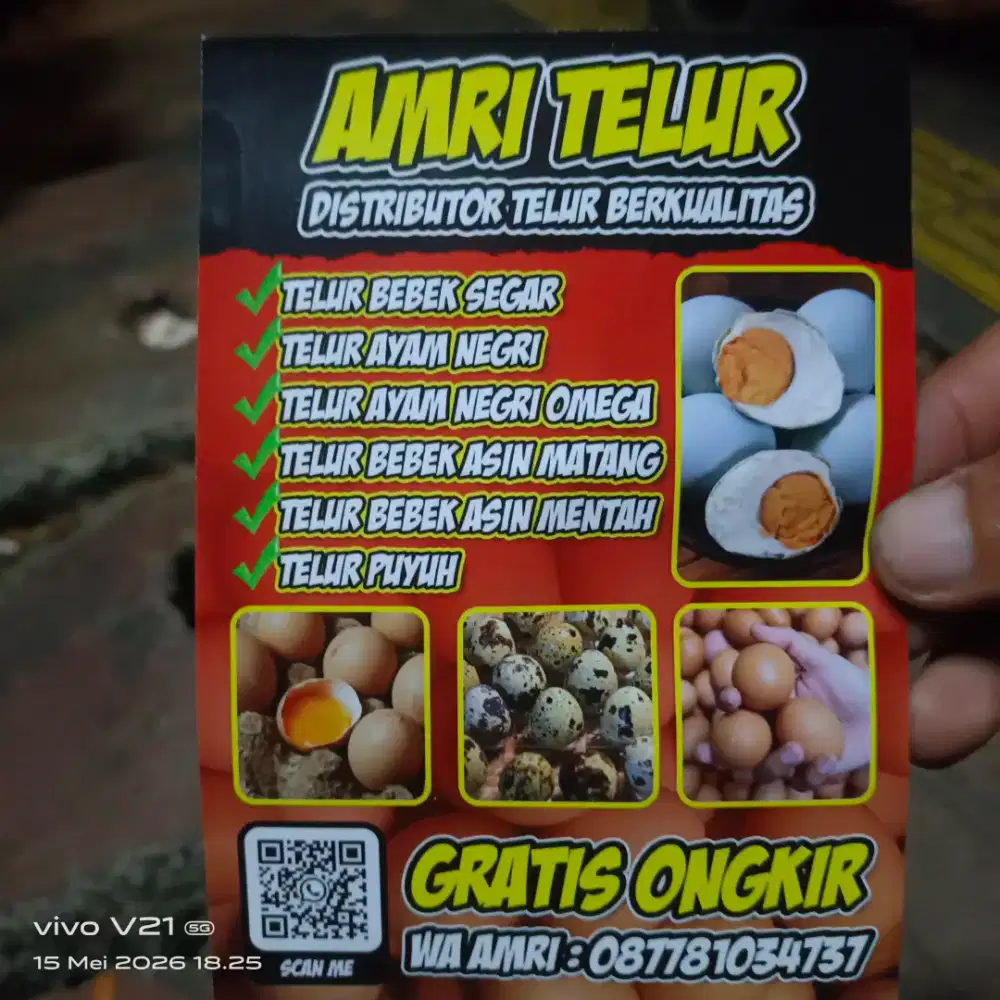 Telur bebek telur ayam telur puyuh ayam negeri bebek omega telur asin