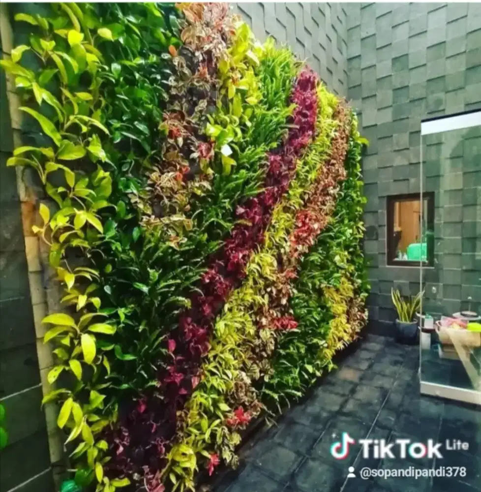 Jual berbagai macam jenis pohon untuk pembuatan taman vertikal
