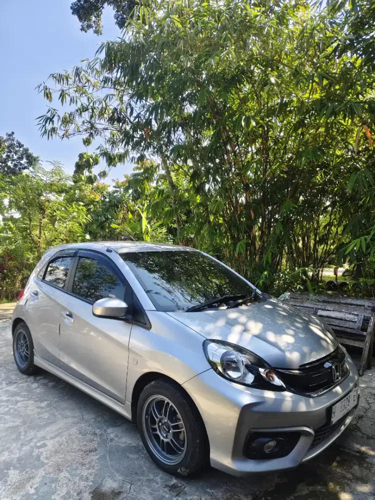brio type E 2017