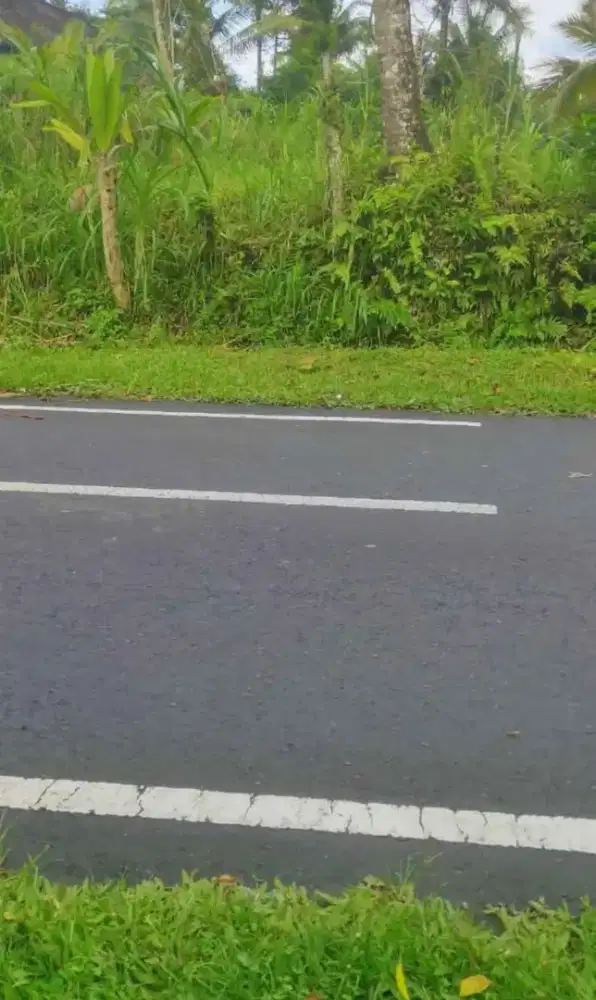 Tanah murah di pinggir jalan.