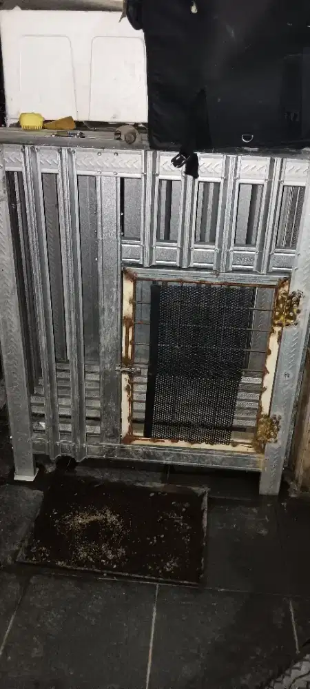 Anak anjing 4 bulan