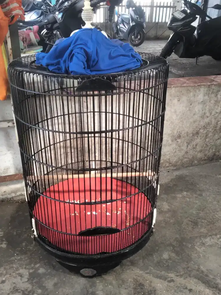 Sangkar murai Ebod no 1 dan sangkar besi kotak Lovebird