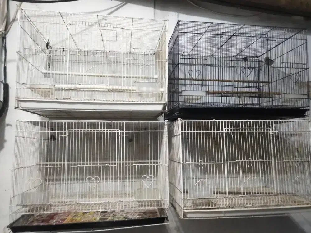 Sangkar kuliar Lovebird UK 40x60 dan sangkar besi tebok Lovebird
