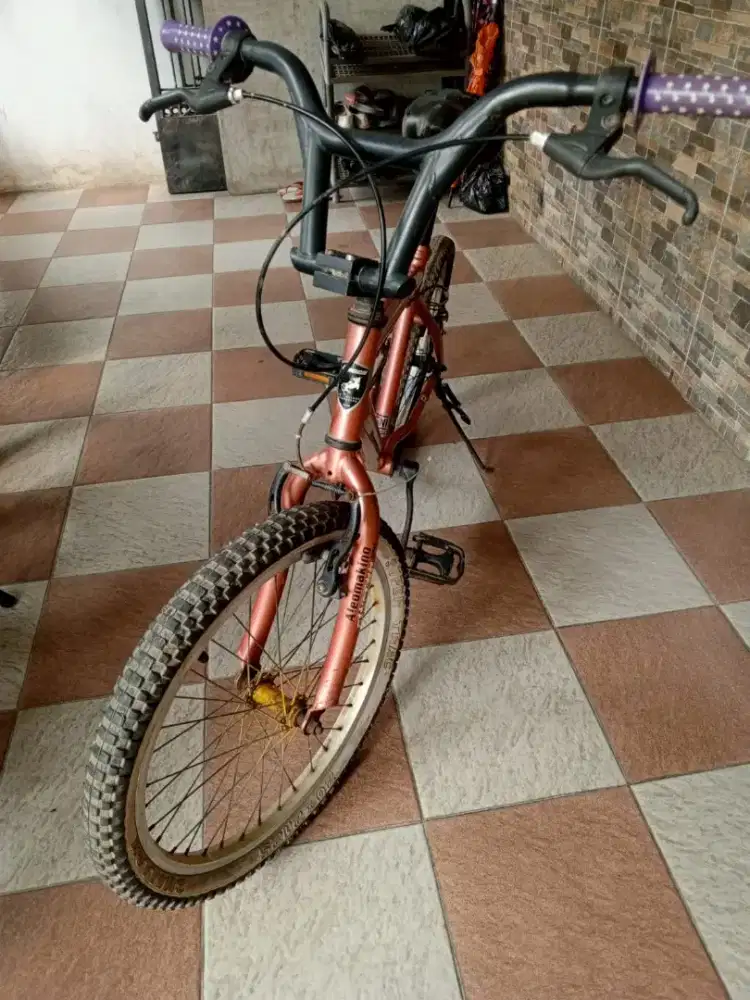 sepeda MTB 20 aleoca