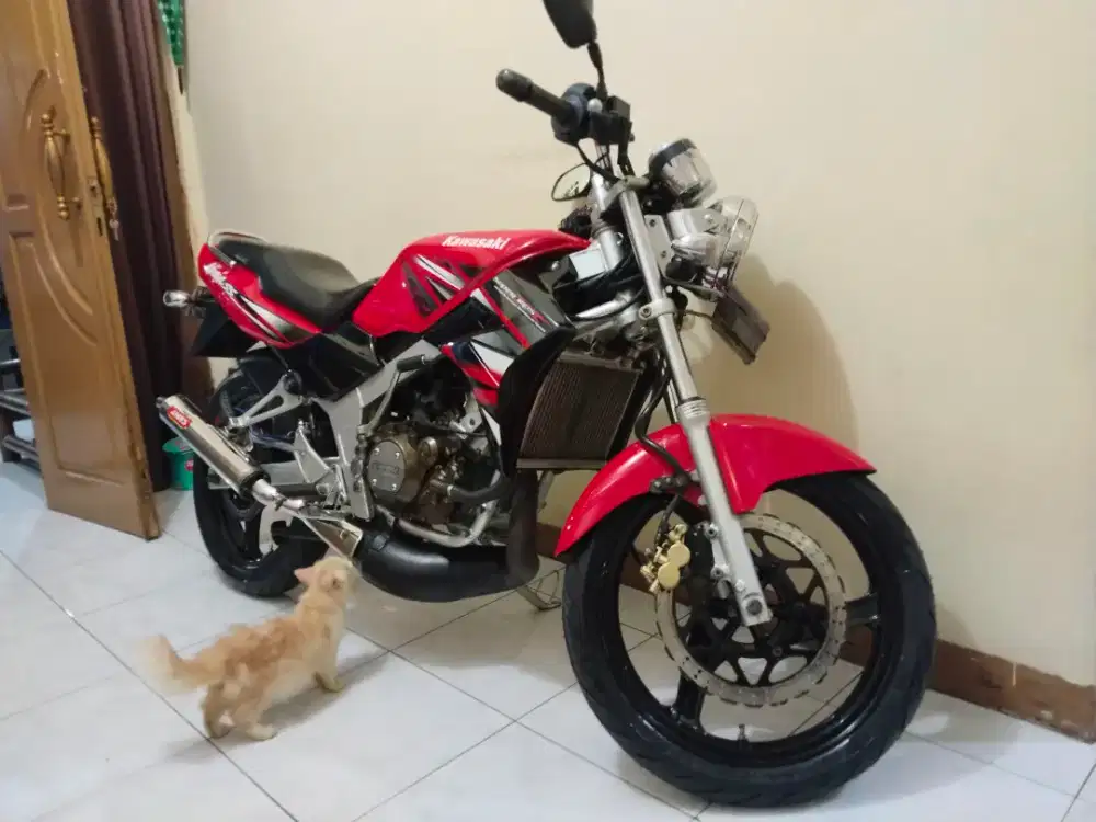Kawasaki ninja r 2011