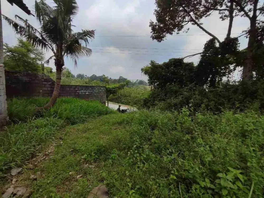 Tanah murah di kemuning