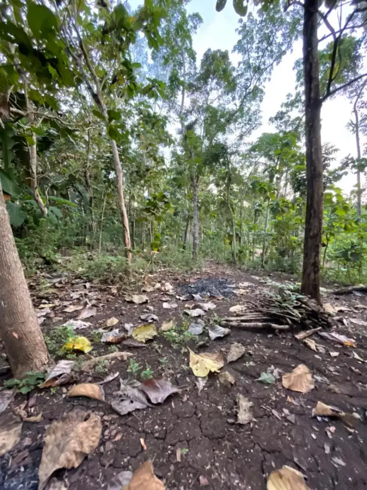 Di jual tanah cepat tanpa perantara