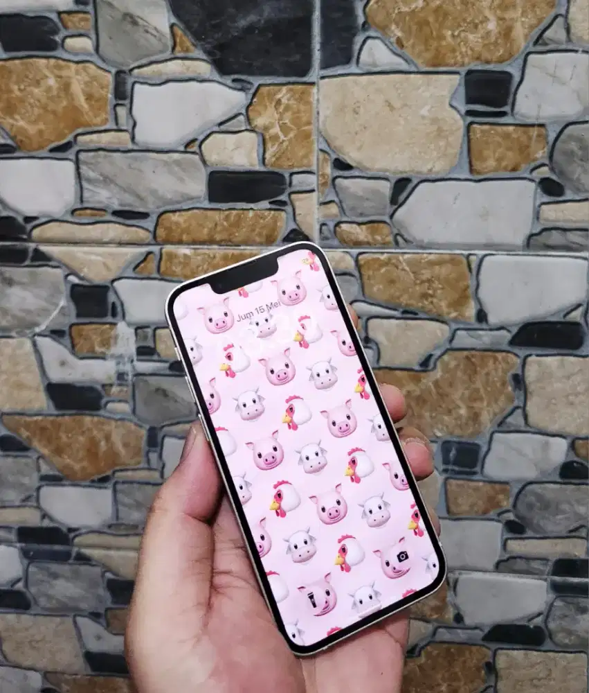 iphone 13 Mini Metalik pink register