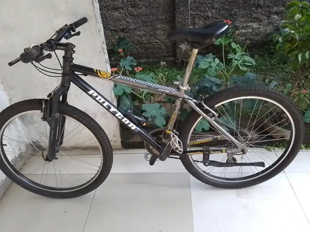 Polygon premier jadul