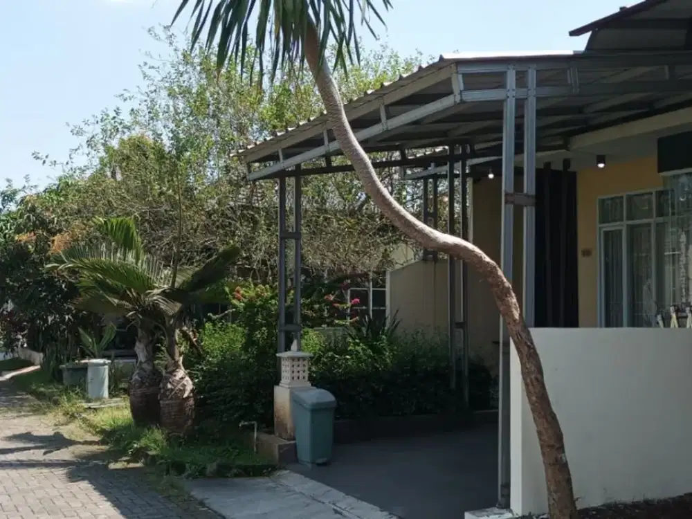 460 Juta! Rumah Full Renovasi di Komplek Mentari Permai