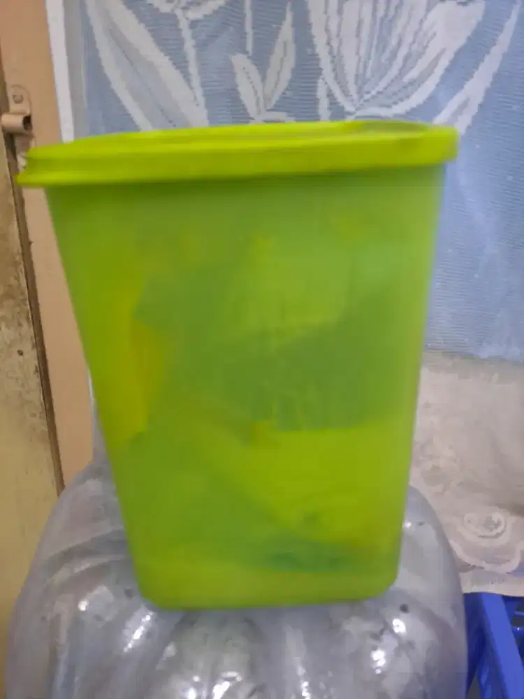 Tupperware Hijau