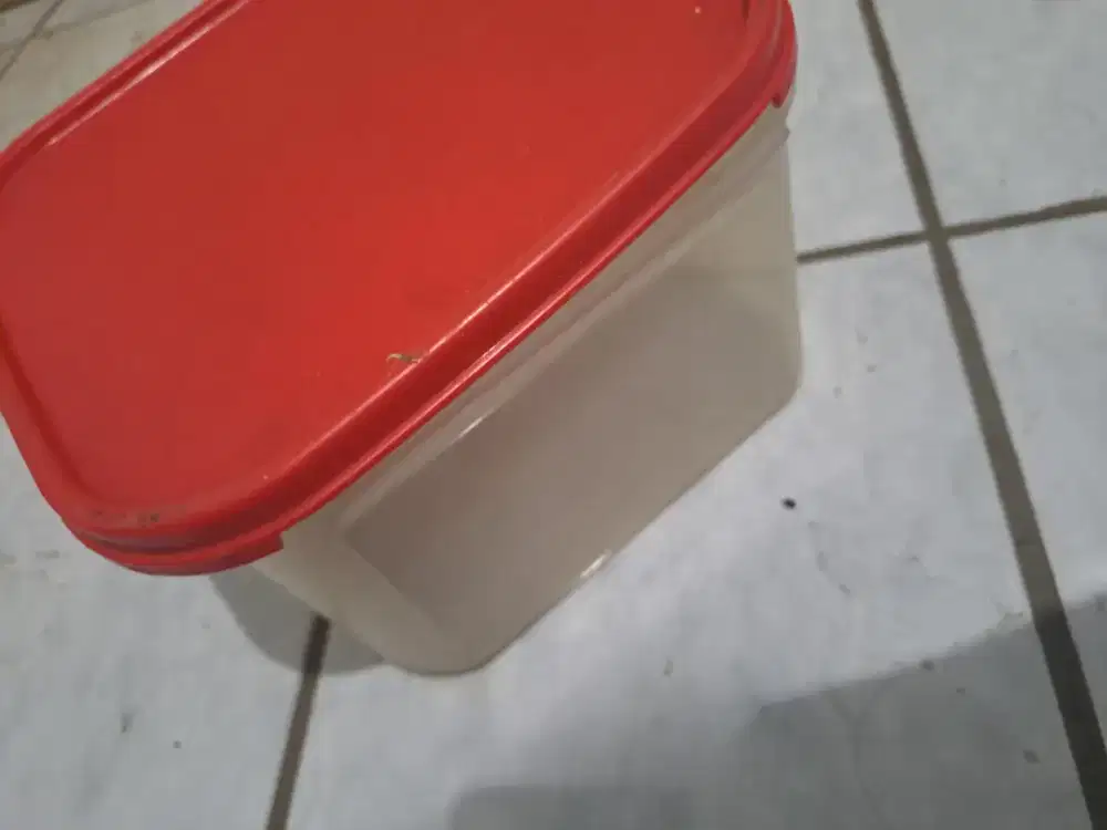 Tupperware Kotak