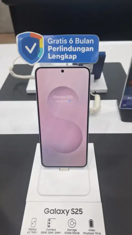 SAMSUNG S25 256