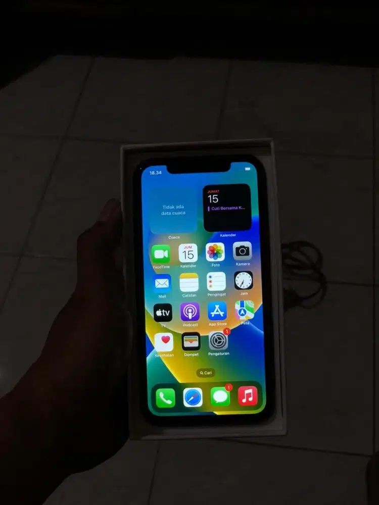 iPhone X 256 GB IBOX