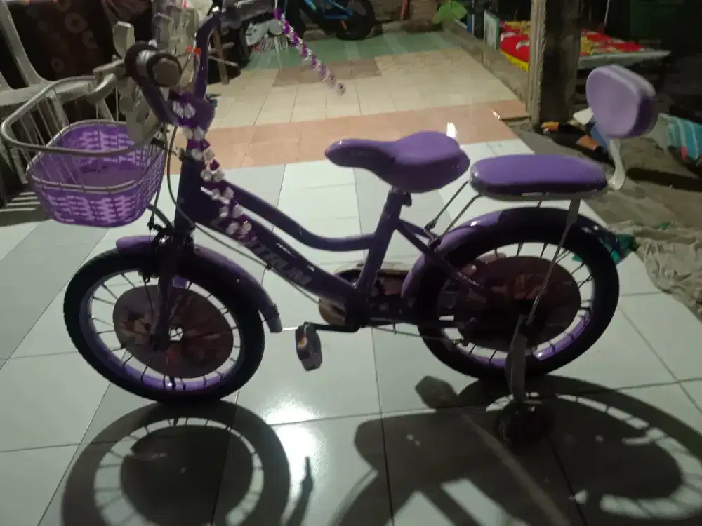 Sepeda anak 20 in