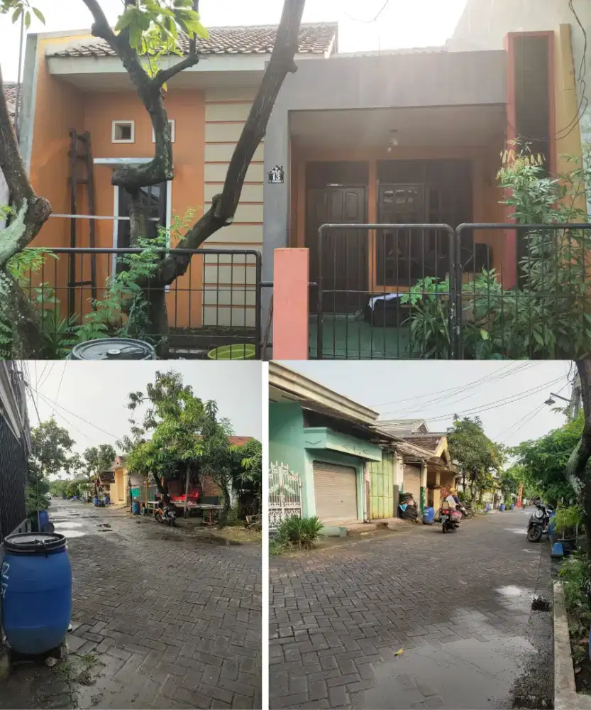 Rumah di Jual 350jt nett