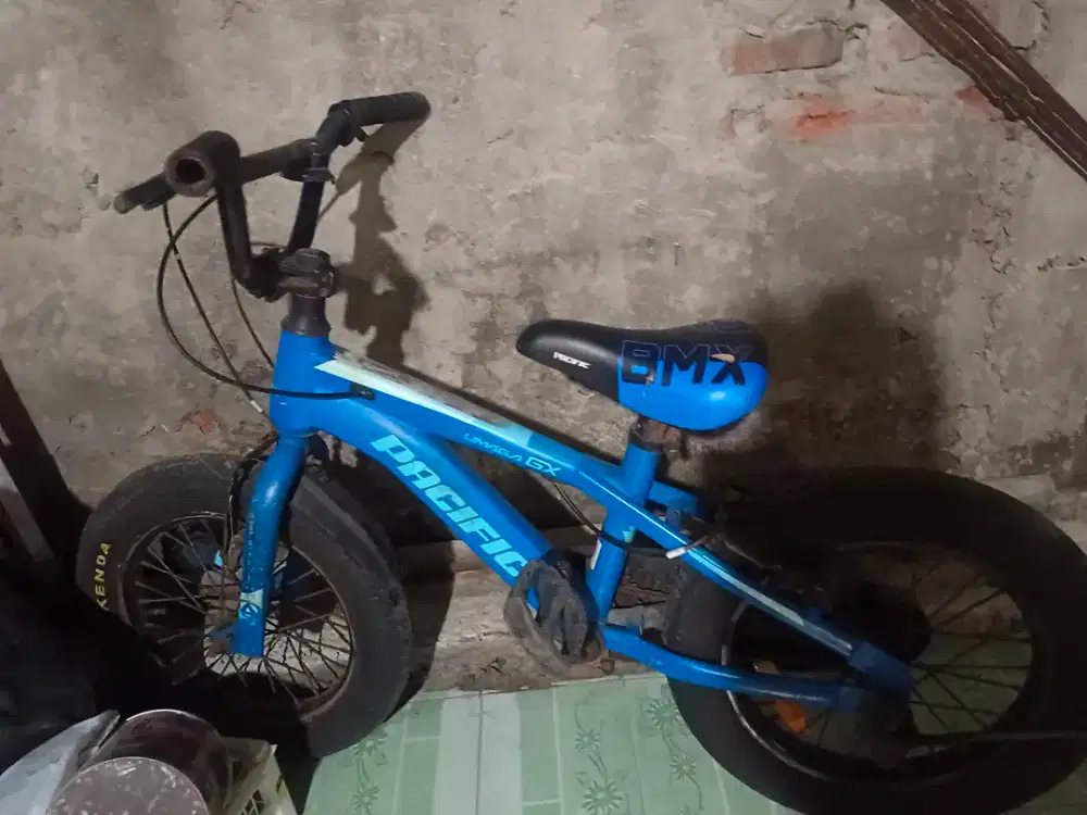 Sepeda anak laki pacific