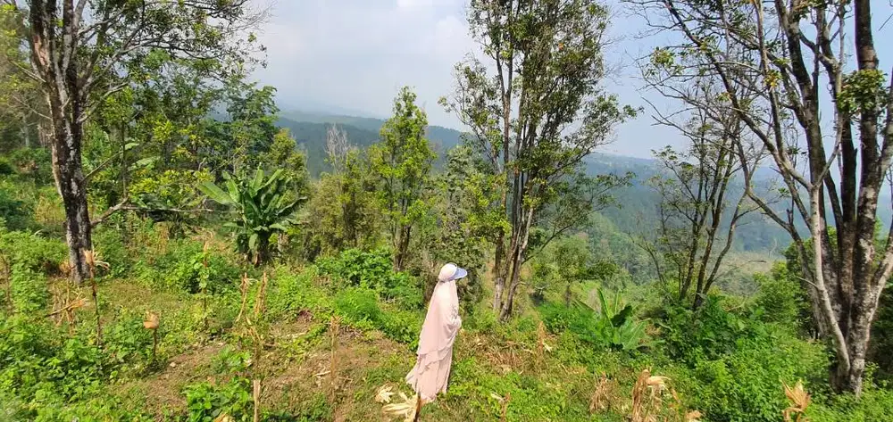 DIJUAL LAHAN KOMERSIAL – WONOSALAM JOMBANG ️ SAMPING MTC (MUHAMMADIYAH